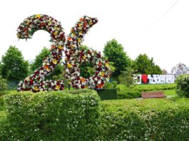 26 მაისი საქართველოს დამოუკიდებლობის დღეა