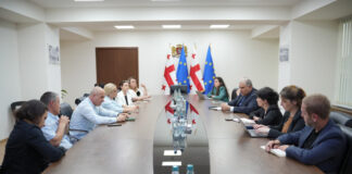 სარჯველაძე დიუშენის მქონე ბავშვების მშობლებს შეხვდა