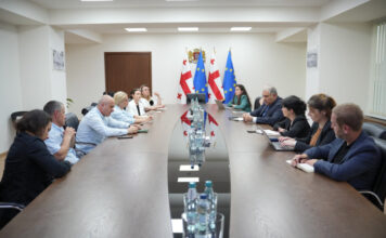 სარჯველაძე დიუშენის მქონე ბავშვების მშობლებს შეხვდა