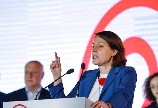 საია- ელენე ხოშტარიას წინააღმდეგ სისხლის სამართლებრივი დევნა სამართლის ძირითად პრინციპებს არღვევს