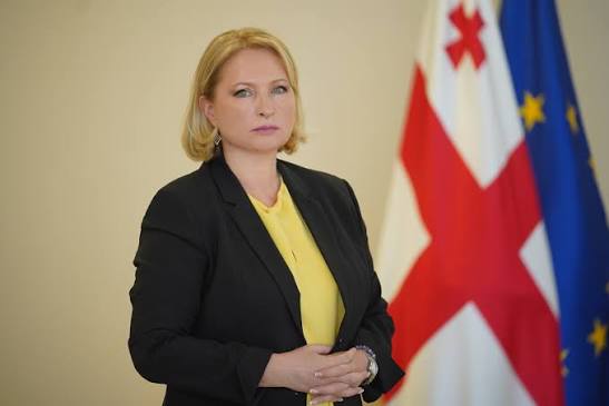 ნათია თურნავამ 2025 წელს 392 700 ლარის ხელფასი აიღო