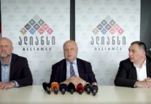 ჩვენი ეროვნული ამოცანაა, რომ მიმდინარე პროცესებში საქართველო ლიდერი იყოს – ალიანსი