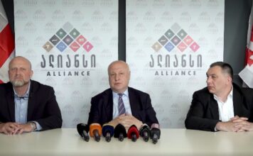 ჩვენი ეროვნული ამოცანაა, რომ მიმდინარე პროცესებში საქართველო ლიდერი იყოს – ალიანსი