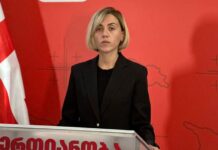 წითლიძე სააკაშვილის ინიციატივაზე-„ნაციონალური მოძრაობის“ გაძლიერებას ემსახურება