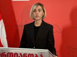 წითლიძე სააკაშვილის ინიციატივაზე-„ნაციონალური მოძრაობის“ გაძლიერებას ემსახურება