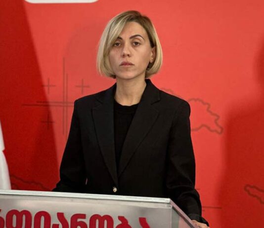 წითლიძე სააკაშვილის ინიციატივაზე-„ნაციონალური მოძრაობის“ გაძლიერებას ემსახურება