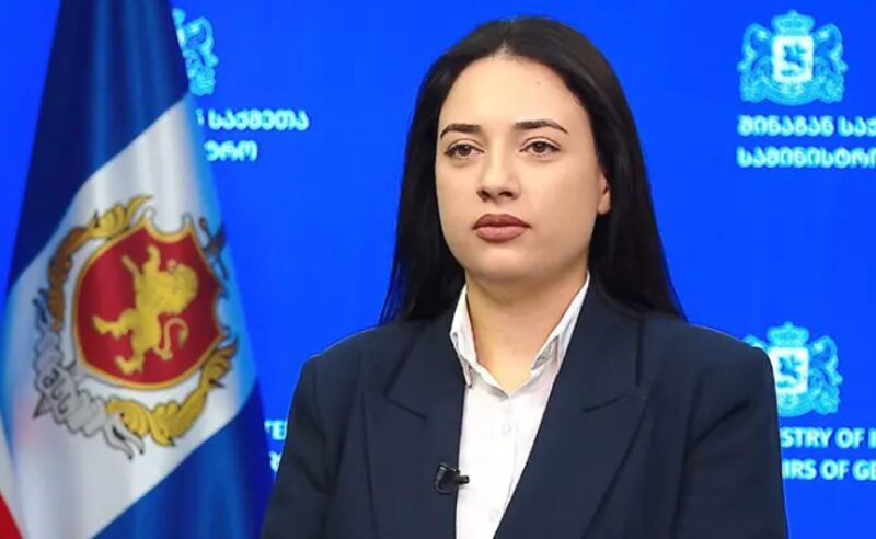 “შეურაცხმყოფელ კამპანიებზე რეაგირების” სამმართველოს უფროსი თამთა ქიმბარიშვილი იქნება