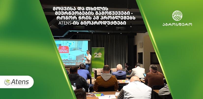 მოცვისა და თხილის მეურნეობების გამოწვევები – როგორ ჭრის ამ პრობლემებს Atens-ის ბიოპროდუქტები