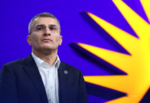 შევიძინეთ უპილოტო საფრენი აპარატების საწინააღმდეგო სისტემა-მდინარაძე