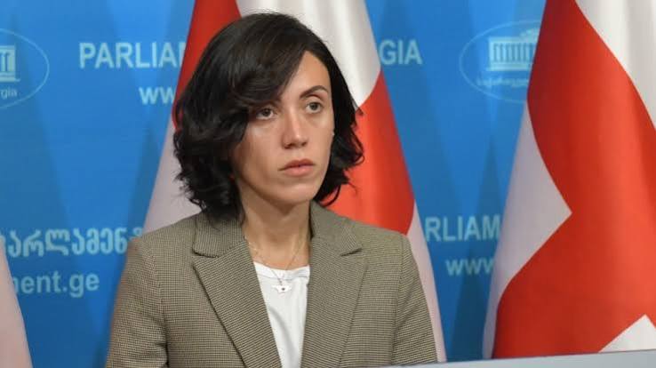 საქართველოს გადარჩენა მხოლოდ ოლიგარქიული რეჟიმის და ივანიშვილის გარეშეა შესაძლებელი – წითლიძე