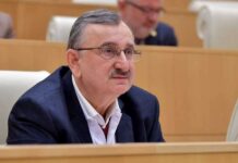 ანაკლია უცხოელი ინვესტორის გარეშე დარჩა – რომან გოცირიძე