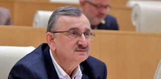 ანაკლია უცხოელი ინვესტორის გარეშე დარჩა – რომან გოცირიძე