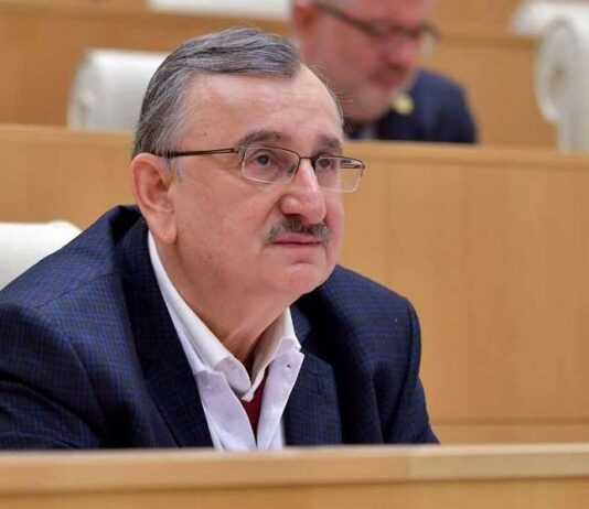 ანაკლია უცხოელი ინვესტორის გარეშე დარჩა – რომან გოცირიძე