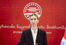 მივა თუ არა თინა ბოკუჩავა ენმ-ს ყრილობაზე, უცნობია