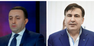 ზებრა გალიიდან პატრონს აუჯანყდა და იქიდან მიაფურთხა – სააკაშვილი