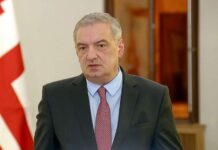 დიდი იმედი მაქვს, რომ იგი შეცდომაშია შეყვანილი – ვოლსკი ღარიბაშვილზე