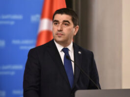 მდინარაძისთვის დაანონსებული სახელმწიფო მინისტრის პოსტი აღარ შეიქმნება – პაპუაშვილი