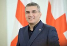 არ გამოვრიცხავ, ამ პოსტზე დიდი ხანი არ ვიყო-მდინარაძე