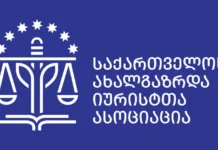 საიამ სტრასბურგში არჩევნების საქმეზე ოცნების საპასუხო წერილობითი პოზიცია წარადგინა