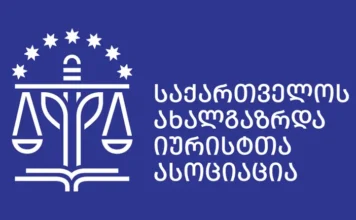 საიამ სტრასბურგში არჩევნების საქმეზე ოცნების საპასუხო წერილობითი პოზიცია წარადგინა