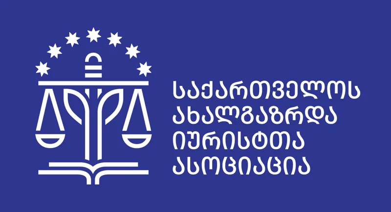 საიამ სტრასბურგში არჩევნების საქმეზე ოცნების საპასუხო წერილობითი პოზიცია წარადგინა