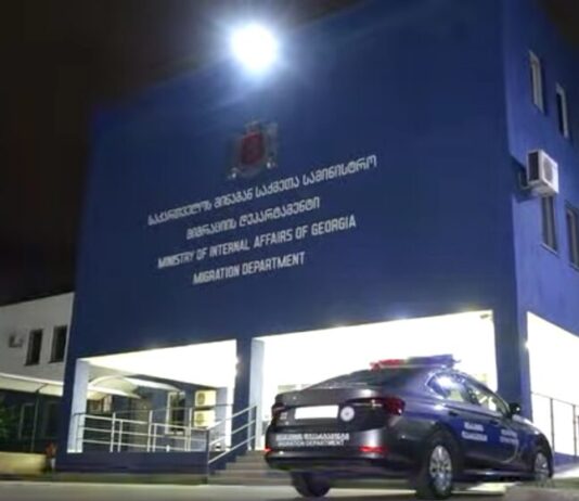 უცხო ქვეყნის 67 მოქალაქე საქართველოდან გააძევეს