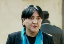 წლების მანძილზე კობახიძე ცილს მწამებდა – ირმა ინაშვილი