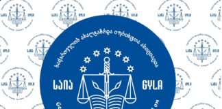 საია საერთაშორისო პრემია Right Livelihood-ის ლაურეატი გახდა