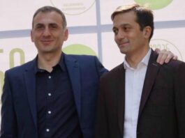 იოსელიანმა სააპელაციოს ელისაშვილის საქმეზე სასამართლოს მეგობრის მოსაზრებით მიმართა