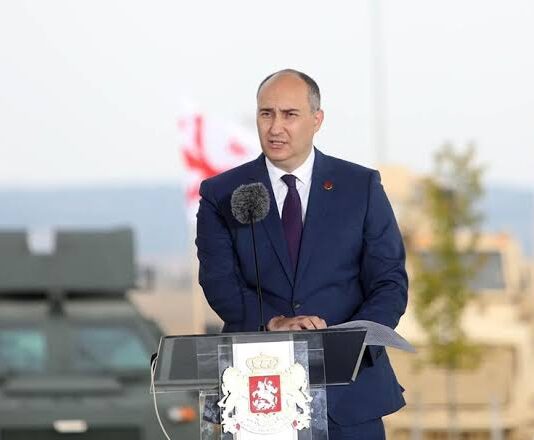 ბურჭულაძეს გამოძიებასთან თანამშრომლობისთვის გაუფორმდება საპროცესო