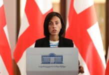 ანა წითლიძე პლენუმს: ილია გზას აირჩევთ თუ ბერბიჭაშვილების, ეს თქვენი გადასაწყვეტია