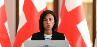 ანა წითლიძე პლენუმს: ილია გზას აირჩევთ თუ ბერბიჭაშვილების, ეს თქვენი გადასაწყვეტია