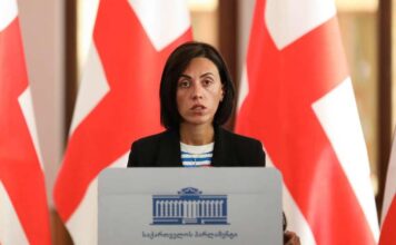ანა წითლიძე პლენუმს: ილია გზას აირჩევთ თუ ბერბიჭაშვილების, ეს თქვენი გადასაწყვეტია