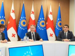 გინდა რეჟიმი დაგვიძახონ და გინდა დიქტატურა, არ გვაწუხებს – კობახიძე მოჰყვა, რა ხდებოდა უმრავლესობის სხდომაზე