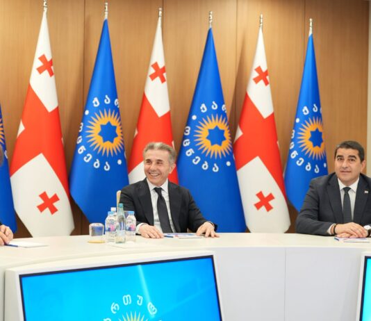 გინდა რეჟიმი დაგვიძახონ და გინდა დიქტატურა, არ გვაწუხებს – კობახიძე მოჰყვა, რა ხდებოდა უმრავლესობის სხდომაზე