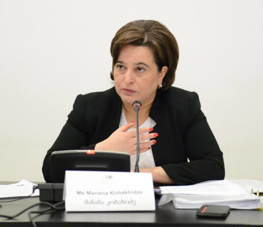 მანანა კობახიძემ პარტიების აკრძალვის სარჩელზე განრიდება ითხოვა