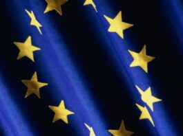 EU კანდიდატ ქვეყნებს კონკრეტული პირობებით ეკონომიკურ ბაზარს გაუხსნის-POLITICO