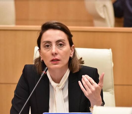 საკონსტიტუციო სასამართლოს თავმჯდომარემ ხატია დეკანოიძე დარბაზიდან გააძევა