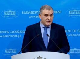 საქართველოში მიზეზი პანიკისთვის არ არსებობს – სარჯველაძე რუსეთში ჭირის შემთხვევაზე