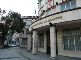 დაპირისპირება საკონსტიტუციო სასამართლოში ტერმინ „ქოცის“ გამო