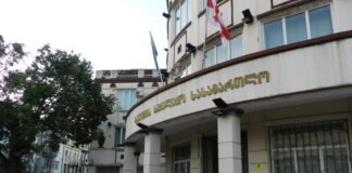 დაპირისპირება საკონსტიტუციო სასამართლოში ტერმინ „ქოცის“ გამო
