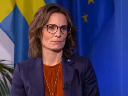 საქართველოში დემოკრატიული უკუსვლის მასშტაბები უპრეცედენტოა – ჯესიკა როსვოლი