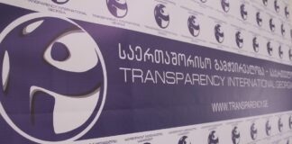 პარტიების აკრძალვის სარჩელი კონსტიტუციის 23-ე მუხლის მე-3 პუნქტს ეწინააღმდეგება – TI