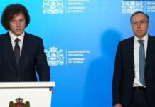 კობახიძემ რუსეთთან ურთიერთობის საკითხებში პრემიერის წარმომადგენლად გიორგი ზურაბაშვილი დანიშნა