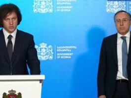 კობახიძემ რუსეთთან ურთიერთობის საკითხებში პრემიერის წარმომადგენლად გიორგი ზურაბაშვილი დანიშნა