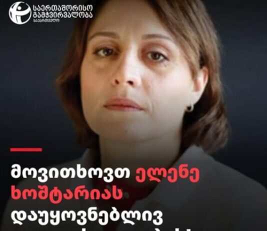 TI- ელენე ხოშტარიას ჯანმრთელობაზე პასუხისმგებლობა ივანიშვილსა და „ქართულ ოცნებას“ ეკისრებათ
