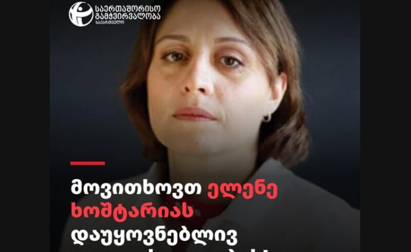 TI- ელენე ხოშტარიას ჯანმრთელობაზე პასუხისმგებლობა ივანიშვილსა და „ქართულ ოცნებას“ ეკისრებათ